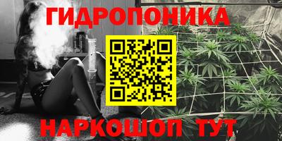 прущие грибы Шебекино
