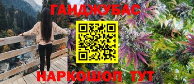 прущие грибы Шебекино