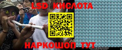 прущие грибы Шебекино