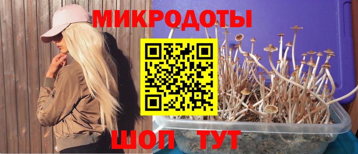 Псилоцибиновые грибы мицелий  Вход с VPN  Магадан  Галлюциногенные грибы MAGIC MUSHROOMS 