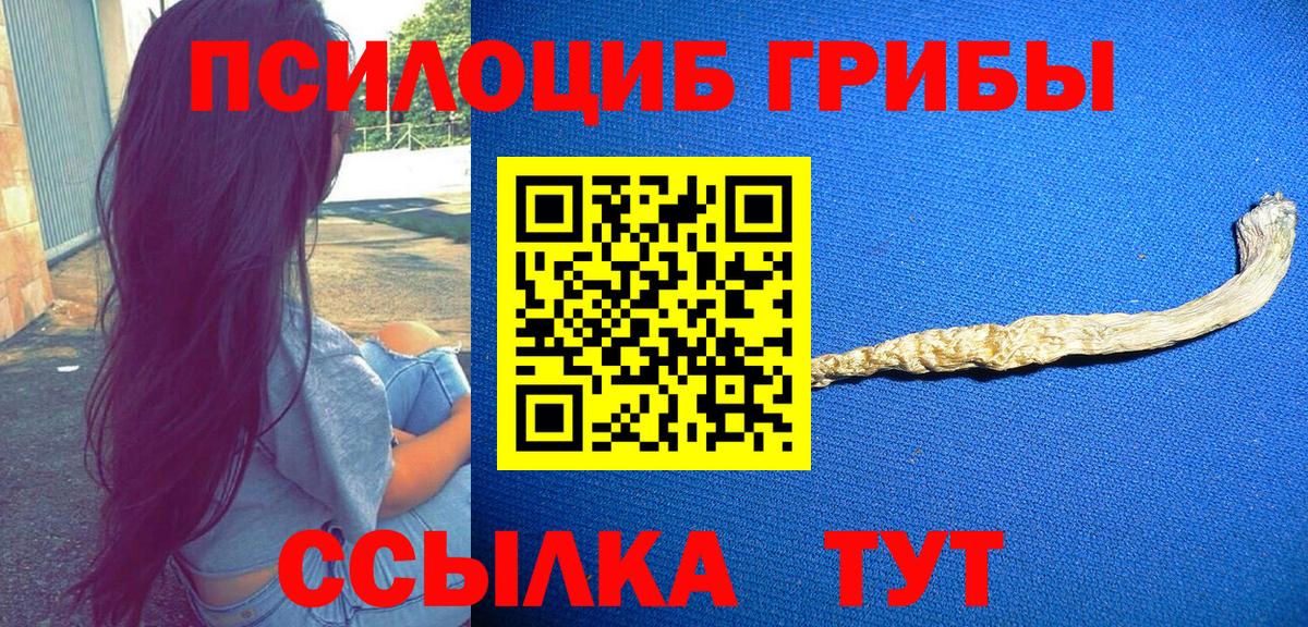 Галлюциногенные грибы Магадан